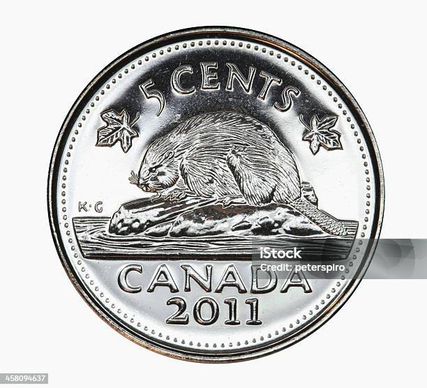 Бобровая На Канадская Монета 5 Центов — стоковые фотографии и другие картинки Канада - Канада, Канадская культура, Монета 5 центов