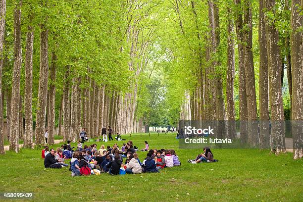 Gruppe Von Kindern Die Auf Der Natur Mittagessen Stockfoto und mehr Bilder von Picknick - Picknick, Bildung, Tourist
