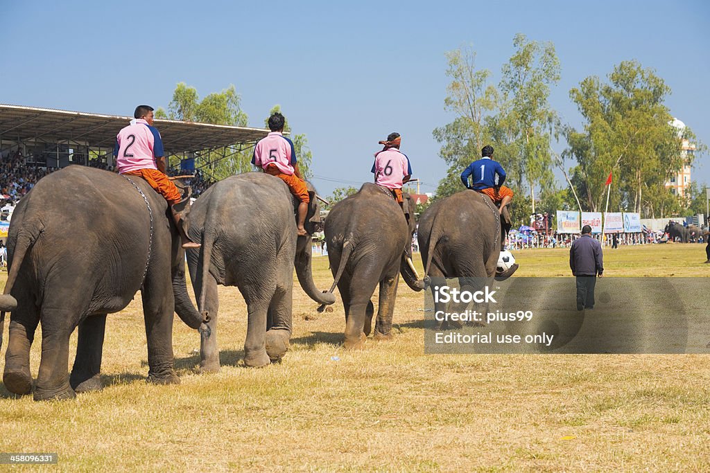 Elefante entrada de equipo de fútbol - Foto de stock de Elefante libre de derechos