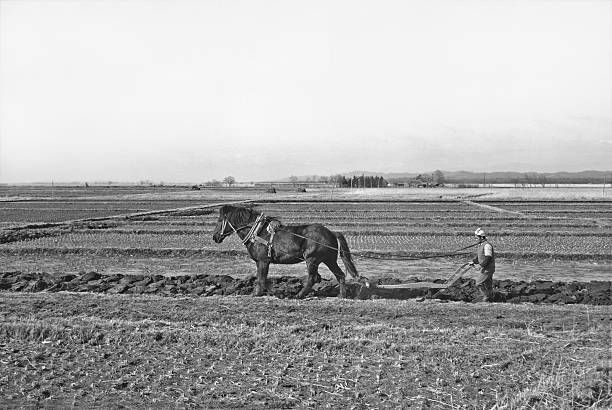 Nostalgic Japan Farm 10 stock photo