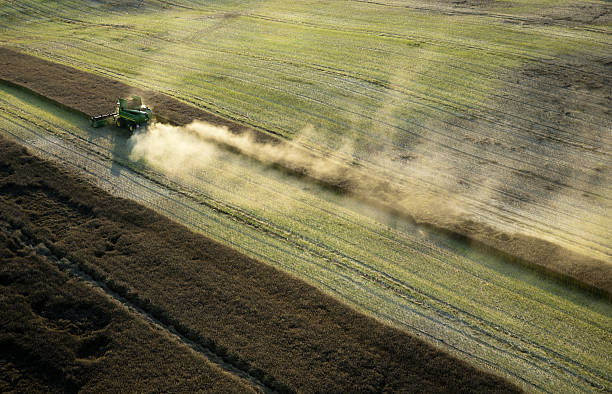 Aerial photo of rapeseed stock photo