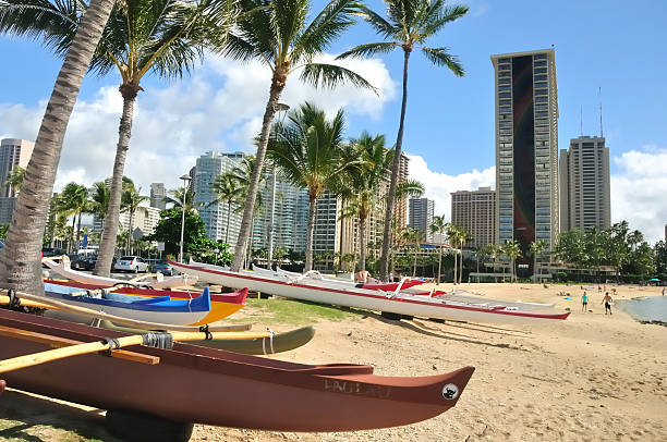 Beached Canoes stock photo