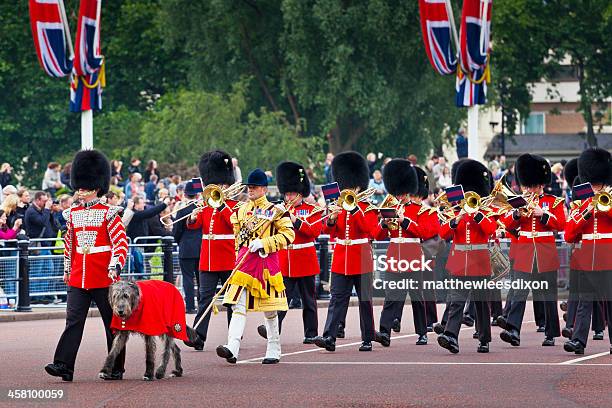 Trooping The Color Ceremonia Westminster El London Foto de stock y más banco de imágenes de Accesorio de cabeza