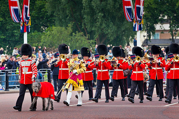 Military Musician during Trooping the Colour London England 2015