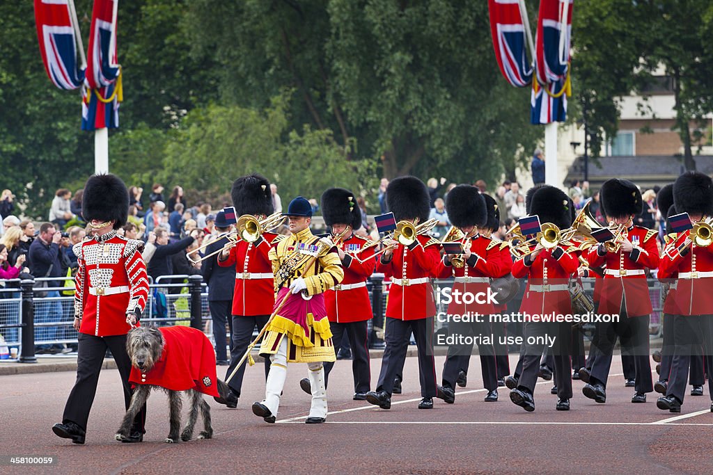 Trooping Barwa Ceremony, Westminster, Londyn). - Royalty-free Adereço para a Cabeça Foto de stock