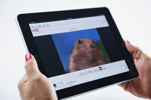 ipad visualizzando youtube e drammatica cane della prateria video - youtube ipad video internet foto e immagini stock