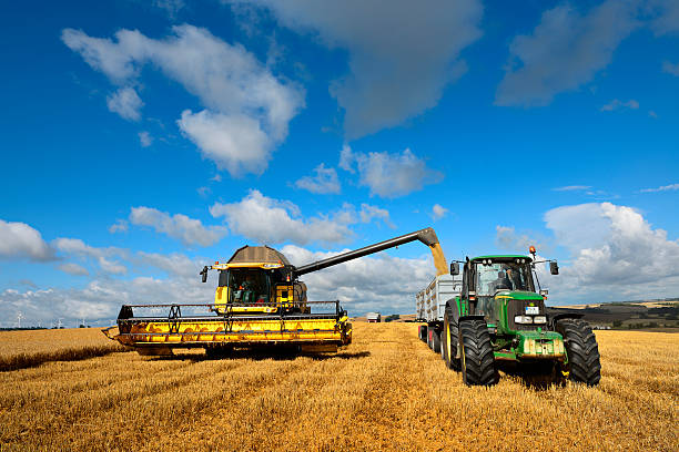 Combine Harvester unloads Grain into Tractor Trailer stock photo