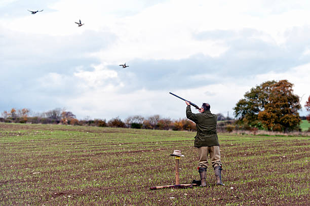 The game shoot "Shropshire, UK - 6th November 2010. Dorrington Hall pheasant and duck shoot in the Shropshire countryside" duck with hat stock pictures, royalty-free photos & images