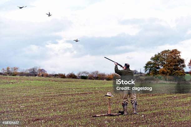 Foto de O Jogo Fotografar e mais fotos de stock de Atirar - Atirar, Caça, Faisão - Animal de Caça