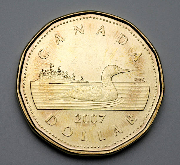 Canadian one dollar coin "Ottawa, Canada - July 26, 2007:  A  Canadian one dollar coin, depicting a loon, popularly known as a \""loonie.\""" canadian coin stock pictures, royalty-free photos & images