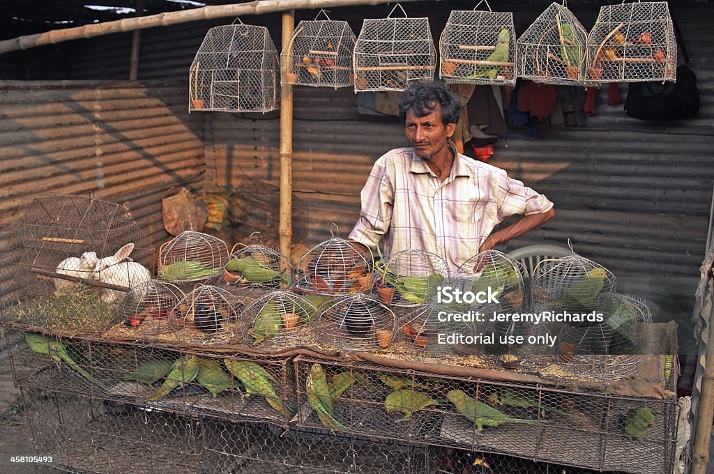 Pet Shop Stock Photo - Download Image Now - Adult, Agricultural Fair, Animal  - iStock