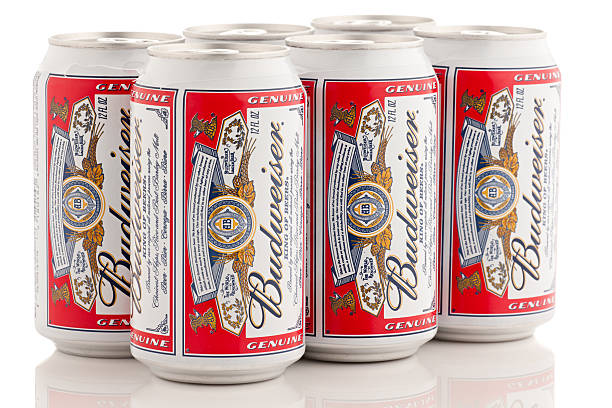 Six pack of Budweiser Beer, 12 oz bottles stock photo