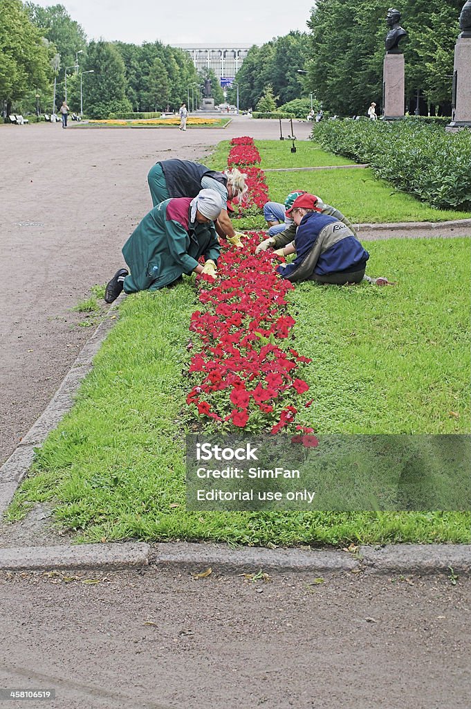 Gardening work "St Petersburg, Russia - July 26, 2006: A team of special hired workers are doing landscaping works in a city park to prepare it to the summer season by planting natural flowers on a lawn. The team of gardners consists of women only." Adult Stock Photo