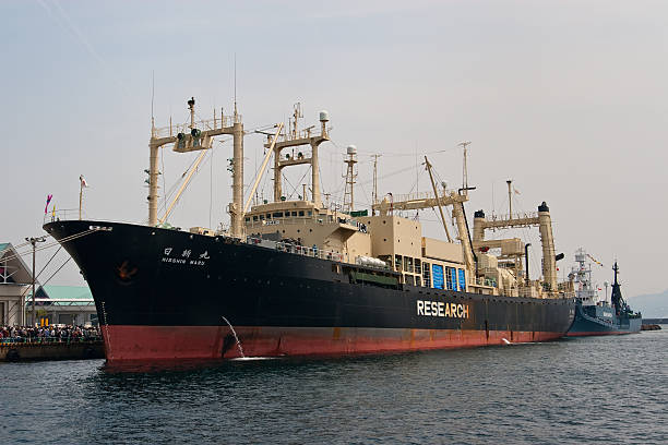 Japanese Whaling ship Nisshin Maru at port in Kagoshima, Japan stock photo