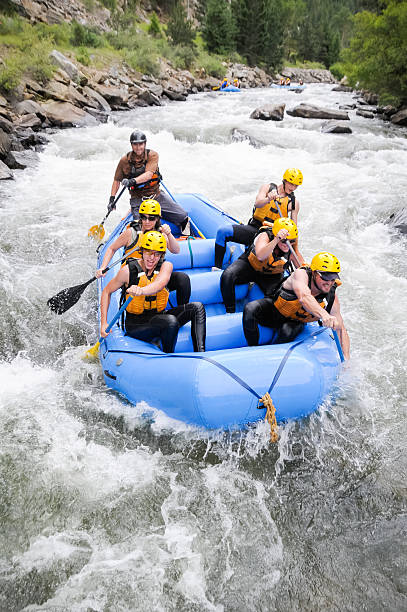 colorado wildwasser-rafting - sports team sport rowing teamwork rafting stock-fotos und bilder