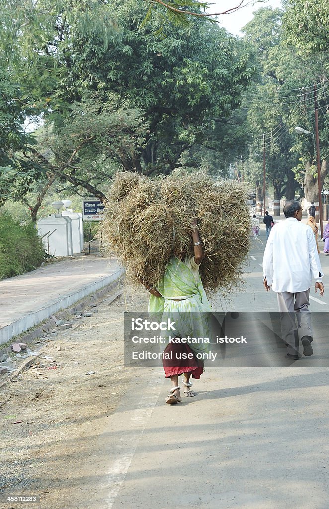 Женщины носить Сено для жизни, Индия - Стоковые фото Азиатская культура роялти-фри