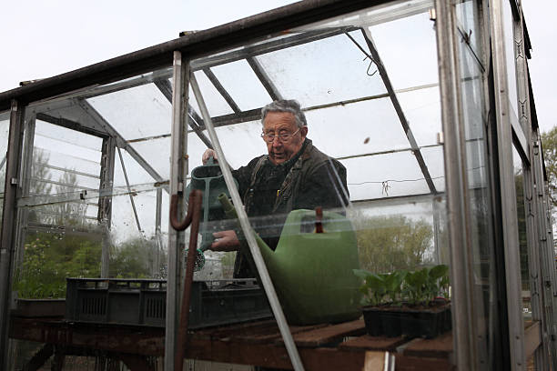 senior ciudadanos dentro de su efecto invernadero. - green thumb refrán en inglés fotografías e imágenes de stock