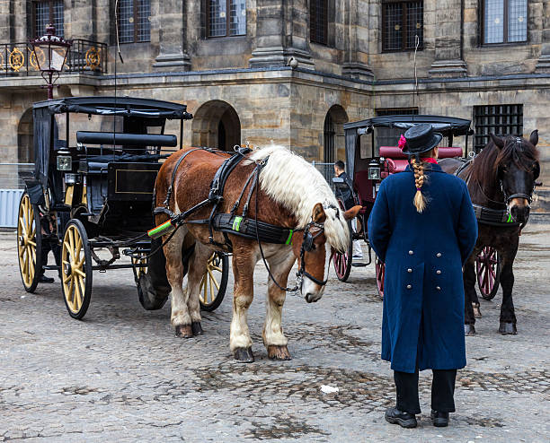 dam square amsterdam - dam stock-fotos und bilder