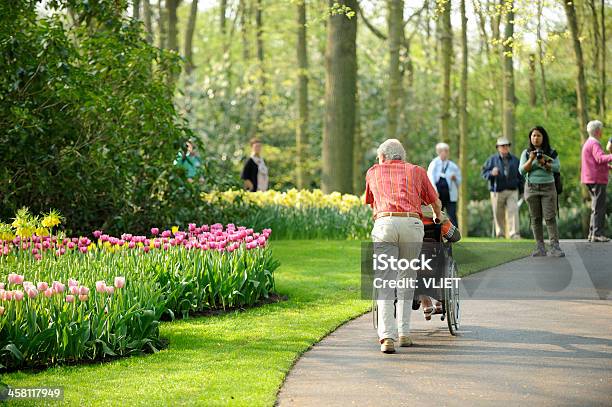 직원관리 조문이었어요 아이리스입니다 공원 쿠겐호프 In The Netherlands 걷기에 대한 스톡 사진 및 기타 이미지 - 걷기, 튤립, 공원