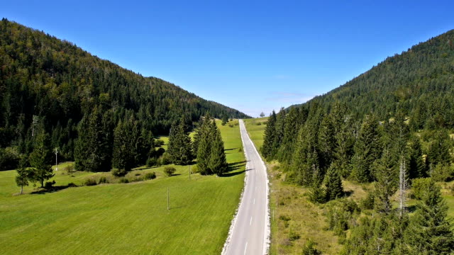 Aerial: descending above the car road in spruce forest valley with green field