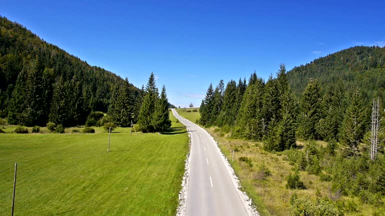 Aerial: descending above the car road in spruce forest valley with green field