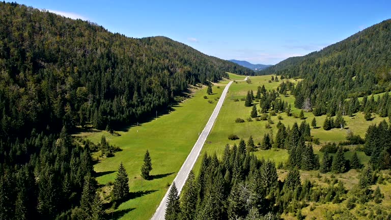 Aerial: scenic valley with green field, spruce forest and two lane road