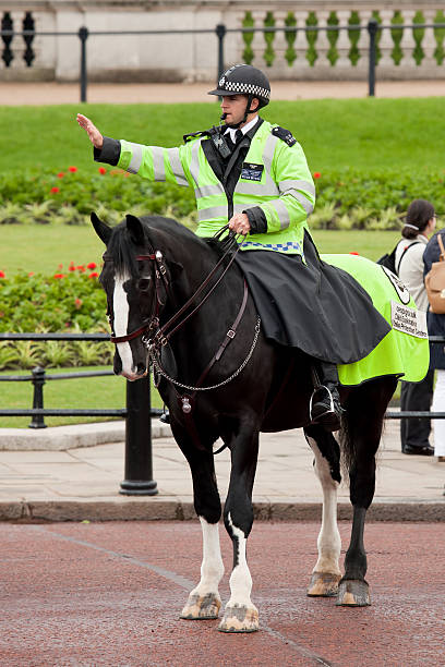 3rd May, 2019 - Metropolitan policewoman on horseback, patrolling along The mall in London, UK.