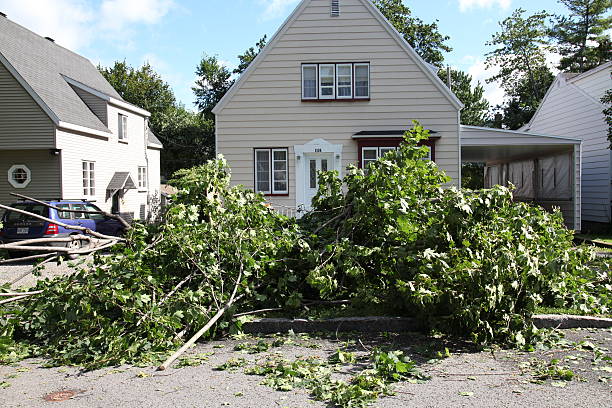 giorno dopo uragano irene" in quebec city - sommergewitter ストックフォトと画像