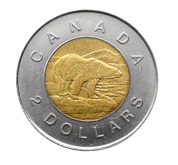 Canadian two dollar coin with polar bear "Ottawa, Canada - December 20, 2006:  A bimetallic Canadian two dollar coin, depicting a polar bear, popularly known as a \""toonie.\""" canadian coin stock pictures, royalty-free photos & images