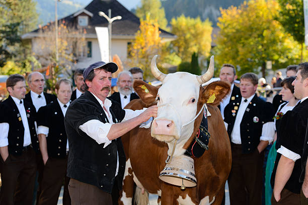 투표 가장 아름다운 cow - switzerland cow bell agricultural fair agriculture 뉴스 사진 이미지