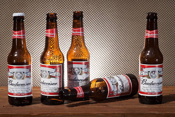 botellas de cerveza budweiser - budweiser fotografías e imágenes de stock