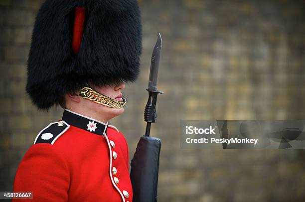 クローズアップの英国のロイヤルガードにバヨネットロンドン - クマの毛皮帽のストックフォトや画像を多数ご用意 - クマの毛皮帽, 近衛兵, 英国 ロンドン