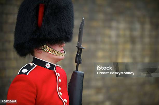 Closeup Do Soldado Da Guarda De Pé Com Baioneta Londres - Fotografias de stock e mais imagens de Chapéu da Guarda Real Britânica