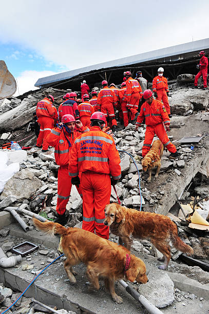 Van earthquake "Van, Turkey-November 10, 2011: After the earthquake in Van, rescue teams are searching for earthquake victims with the help of rescue dogs." turkey earthquake stock pictures, royalty-free photos & images