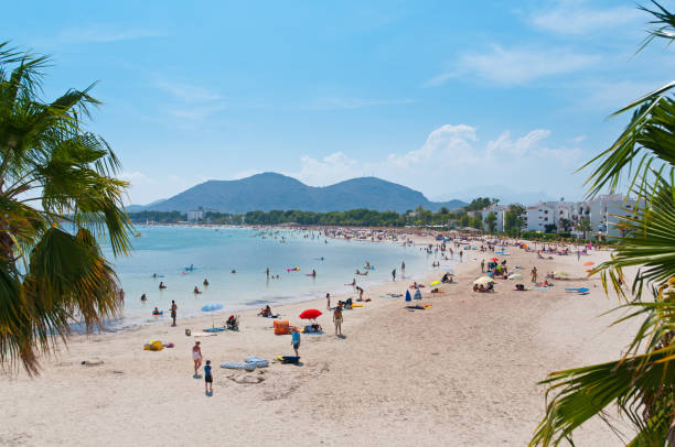 Alcudia, Spain - August 7, 2011: People swimming and sunbathing at the beach of Alcudia at island of Majorca, Spain. Mountains in the back and hotel buildings at the beach. Image framed by green palm trees.