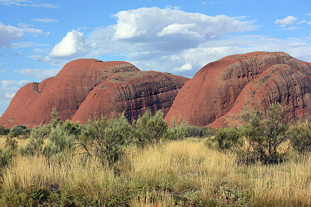 austrália-kata tijuta - olgas imagens e fotografias de stock