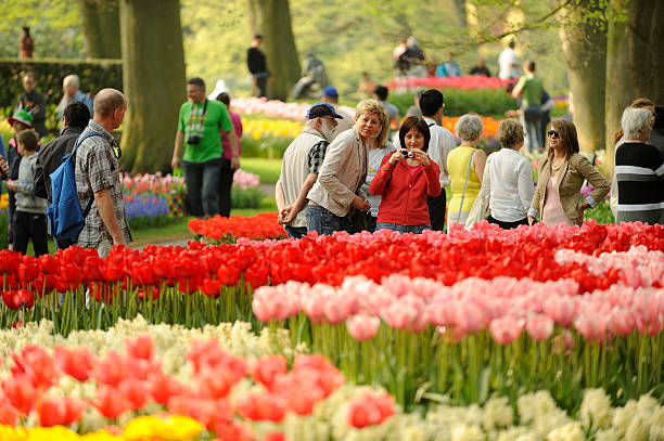 People visiting flower park Keukenhof in the Netherlands "Lisse, the Netherlands - April 22, 2011: People visiting flower park Keukenhof in the Netherlands. Keukenhof is the world&amp;acirc;" keukenhof gardens stock pictures, royalty-free photos & images