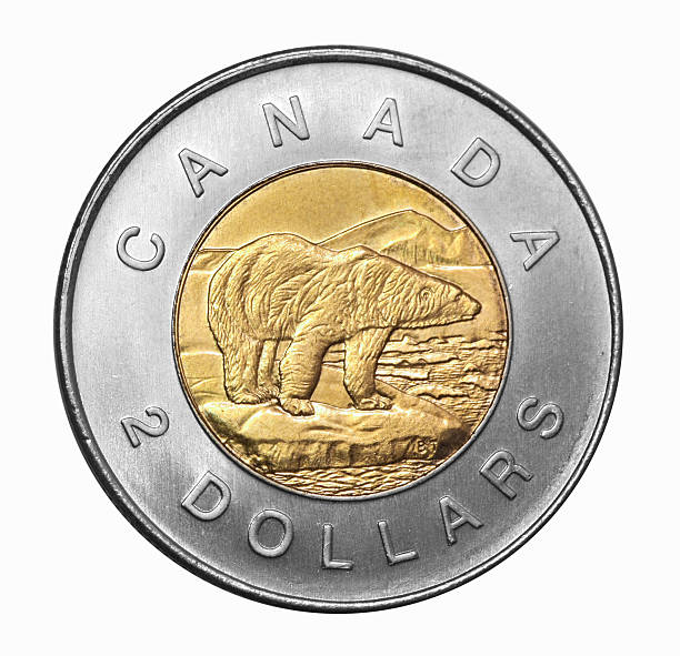Canadian two dollar coin with polar bear stock photo