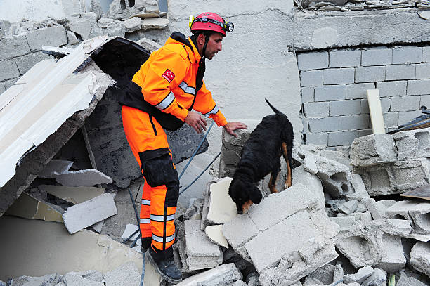 Van earthquake "Van, Turkey - November 10, 2011: After the earthquake in Van, rescue teams are searching for earthquake victims with the help of rescue dogs." search and rescue dog photos stock pictures, royalty-free photos & images