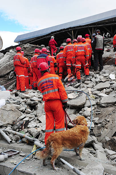 van earthquake - aardbeving turkije stockfoto's en -beelden