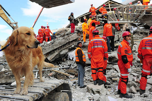 Van earthquake Van, Turkey-November 10, 2011: After the earthquake in Van, rescue teams are searching for earthquake victims with the help of rescue dogs. turkey earthquake stock pictures, royalty-free photos & images