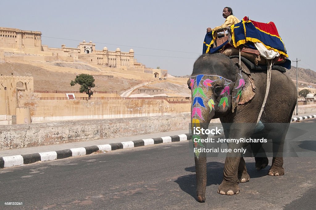 Working Elephant "Jaipur, Rajasthan, India - March 10, 2009: Mahout riding a decorated elephant along the road past Amber Fort near Jaipur in Rajasthan, India. There is a long standing tradition in India of domesticating wild elephants. This is one of about fifty elephant used to take tourists up hill to Amber Fort." Amber Palace - Jaipur Stock Photo