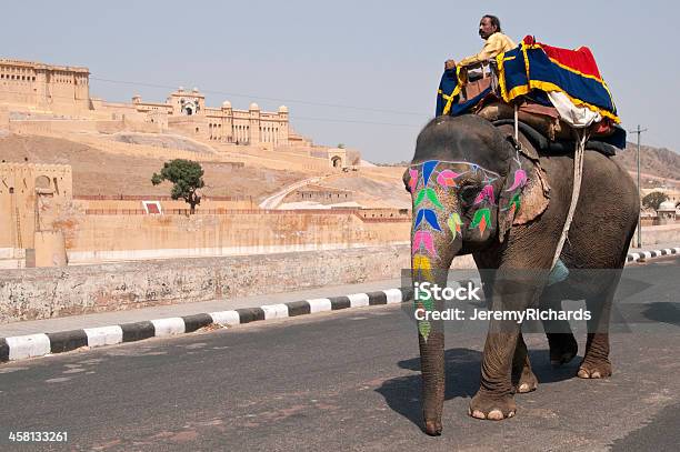 Working Elephant Stock Photo - Download Image Now - Amber Palace - Jaipur, Elephant, Adult