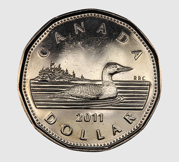 canadian one dollar coin - endollarsmynt kanadensiskt mynt bildbanksfoton och bilder