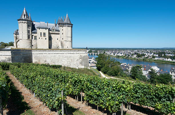 Saumur "Saumur, France - August 17, 2012: Castle of Saumur and vineyards. Saumur Castle was built in the tenth century and rebuilt in the late twelfth century. It is now owned by the city and is one of the most famous castles of the Loire Valley." loire valley stock pictures, royalty-free photos & images