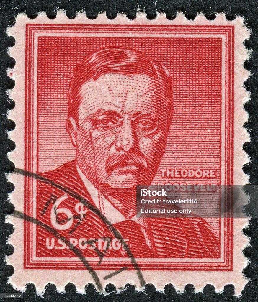 セオドアルーズベルト Stamp - アメリカ合衆国のロイヤリティフリーストックフォト