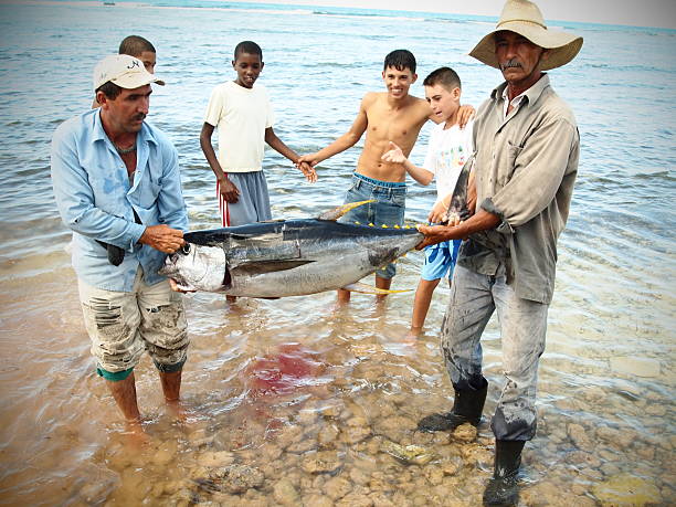 Tarpon Jumping