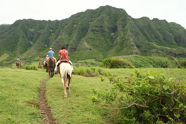 гавайи: оаху - horseback riding cowboy riding recreational pursuit стоковые фото и изображения