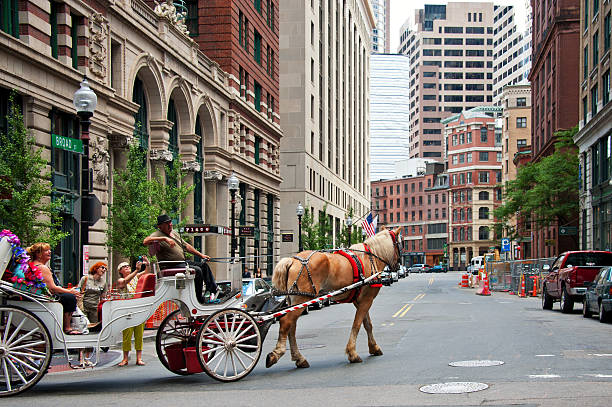 New York, New York, USA- Jan 5, 2013: Carriage Horse and Driver in Central Park around Christmas time. 
