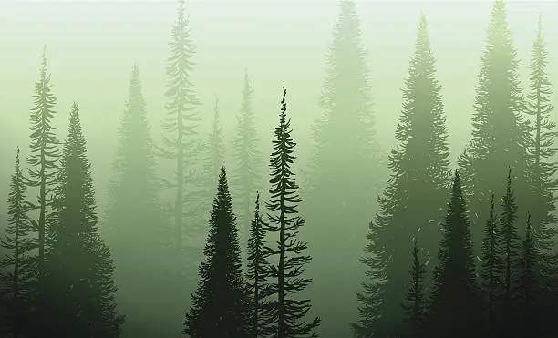 Vector illustration of Trees In The Green Mist